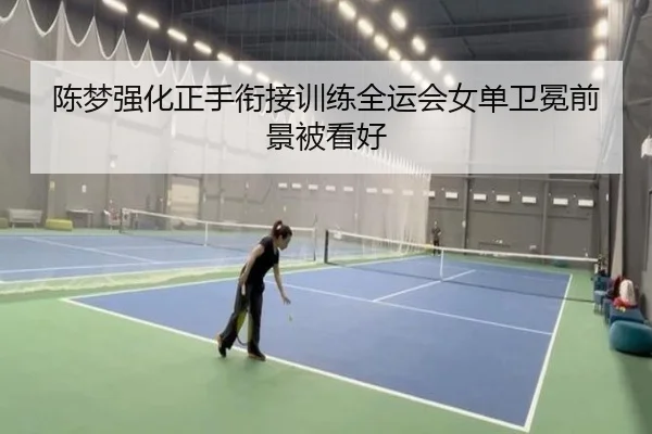 陈梦强化正手衔接训练全运会女单卫冕前景被看好 - aiyouxi